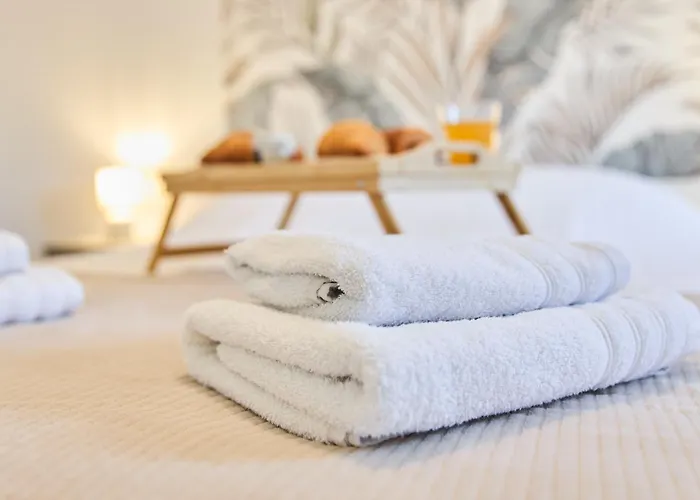 3 Pilliers Car Parking Near Downtown Quiet * Реймс